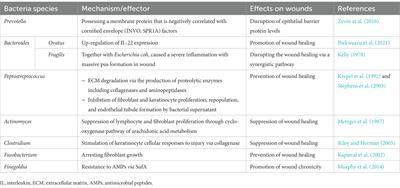 Application of hypoxia-mesenchymal stem cells in treatment of anaerobic bacterial wound infection: wound healing and infection recovery